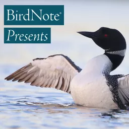 BirdNote Presents Podcast artwork