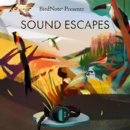 Sound Escapes Podcast artwork