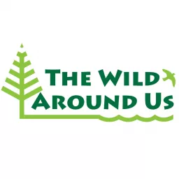 The Wild Around Us Podcast artwork