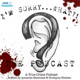I'm Sorry...What?! The Podcast artwork
