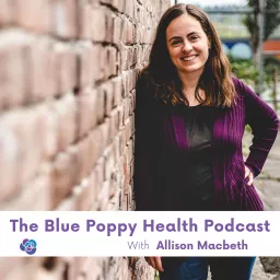 The Blue Poppy Health Podcast | Periods, Hormones, Fertility Awareness, Holistic Health, and more! artwork