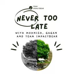 Never Too Late with Mohnish, Gagan and Team Impactbear Podcast artwork