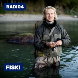 FISK! Podcast artwork