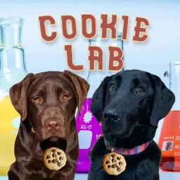 Cookie Lab Podcast artwork