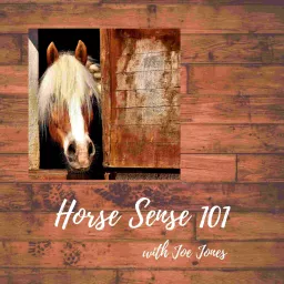 Horse Sense 101 Podcast artwork