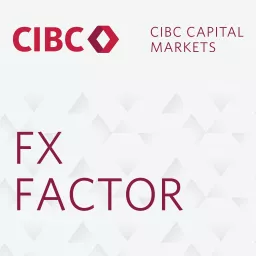 FX Factor