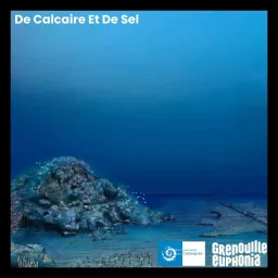 De calcaire et de sel - Radio Grenouille et le Parc National des Calanques