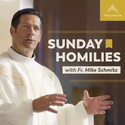 Sunday Homilies with Fr. Mike Schmitz Podcast artwork