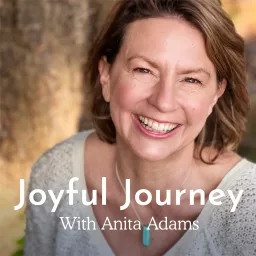 Joyful Journey Podcast artwork