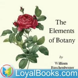 The Elements of Botany by William Ruschenberger