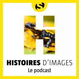 Histoires d'images Podcast artwork