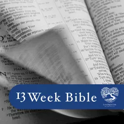 13 Week Bible (Bible in 90 Days)