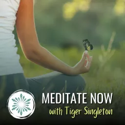 Meditate Now - Guided Journeys with Tiger Singleton Podcast artwork