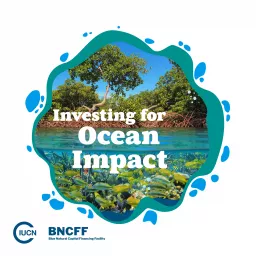 Investing For Ocean Impact Podcast artwork