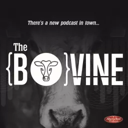 The Bovine Podcast artwork