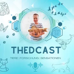 THEDCAST Podcast artwork
