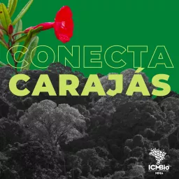 Conecta Carajás Podcast artwork