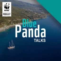 Blue Panda Talks Podcast artwork