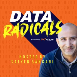 Data Radicals Podcast artwork