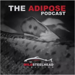 The Adipose Podcast artwork