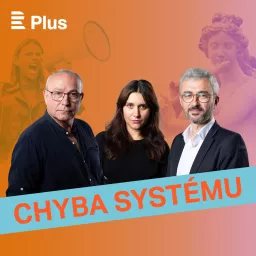 Chyba systému