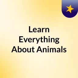 Learn Everything About Animals