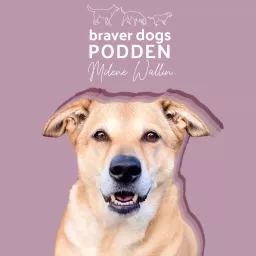 Braver Dogs Podden