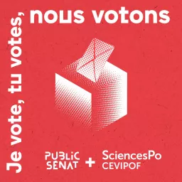 Je vote, tu votes, nous votons Podcast artwork