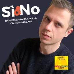 Sì e No - Rassegna Stampa Cannabis Podcast artwork
