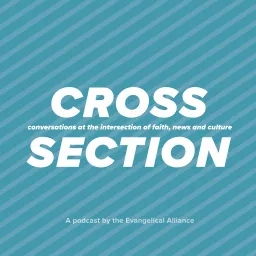 Cross Section Podcast artwork