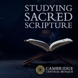 Studying Sacred Scripture Podcast artwork