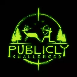 Publicly Challenged Podcast artwork