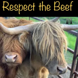 Respect the Beef Podcast artwork