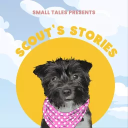 Scout's Stories