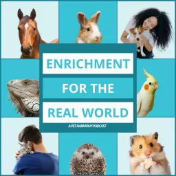 Enrichment for the Real World Podcast artwork