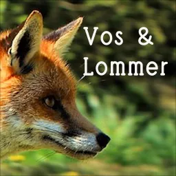 Vos en Lommer