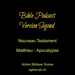 Nouveau Testament, Bible Segond : Matthieu-Apocalypse Podcast artwork