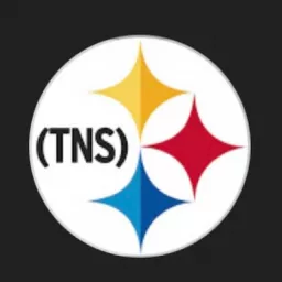 The New Standard: A Steelers Podcast for A Steelers Nation artwork
