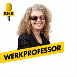 Werkprofessor | BNR Podcast artwork