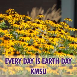 KMSU Every Day Is Earth Day