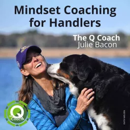 The Q Coach Pod | Mindset Coaching for Handlers with Julie Bacon Podcast artwork