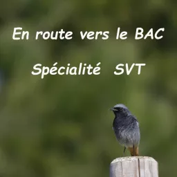 En route vers le bac- la SPE SVT Podcast artwork