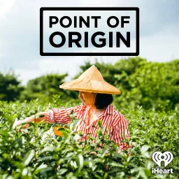 Point of Origin Podcast artwork