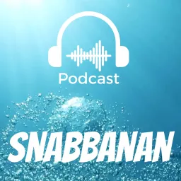 Snabbanan - simma snabbare Podcast artwork