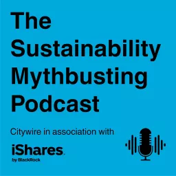 The Sustainability Mythbusting Podcast: ESG indexing debunked for Wealth Managers artwork