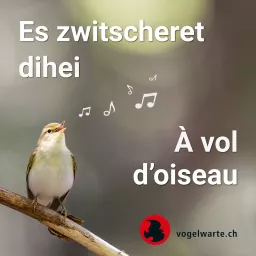 Es zwitscheret dihei