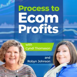 Process To Ecom Profits Podcast artwork