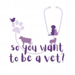 So You Want To Be a Vet? Podcast artwork
