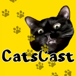 CatsCast Podcast artwork