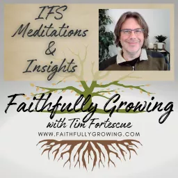 Internal Family Systems (IFS) Meditations and Insights: Faithfully Growing with Tim Fortescue Podcast artwork